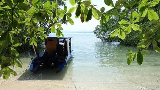 Two Fish Resort Bunaken Bagian luar foto